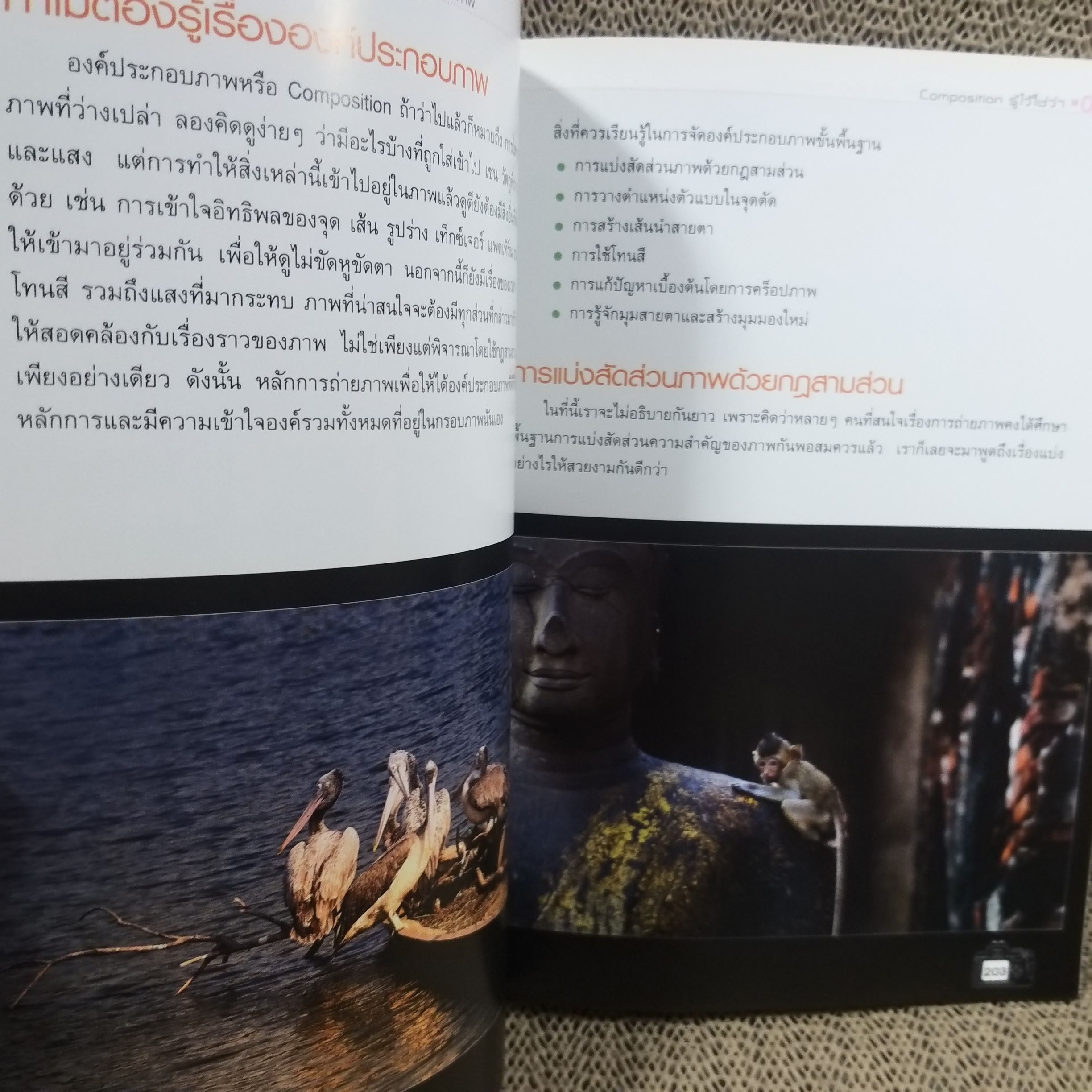 เทคนิคควบคุมกล้อง DSLR เคล็ด (ไม่) ลับกับการถ่ายภาพ ผู้เขียน: โชติกา พรมจักร / สภาพดี 90 %