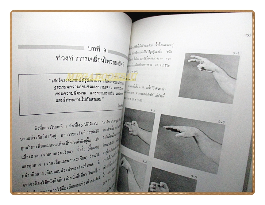 หนังสือ กังฟู ศิลปะในการต่อสู้และป้องกันตัว โดย สุนทร กายประจักษ์