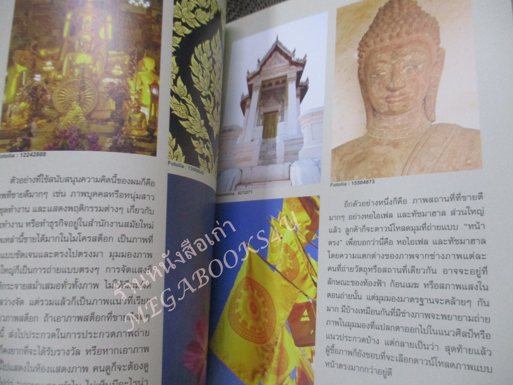 แชะ!!... รวยทะลุเลนส์ ถ่ายภาพขายออนไลน์ ธุรกิจสร้างเงินล้าน ผู้แต่ง สุระ นวลประดิษฐ์