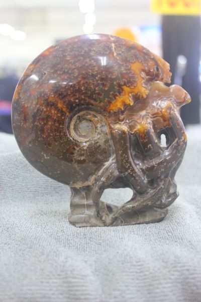 ฟอสซิลหอยทะเลแอมโมไนต์ (Ammonite)ลายใบไม้