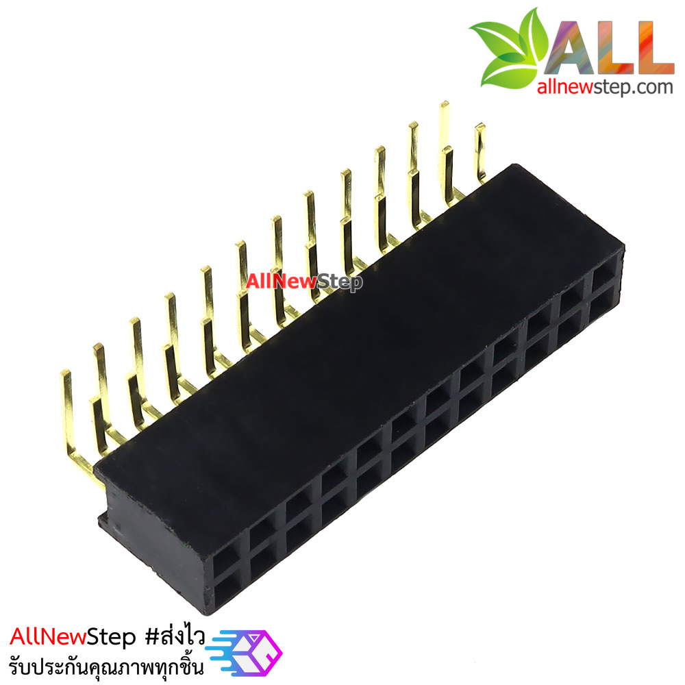 ขาก้างปลาตัวเมียแบบฉาก 2x12 ขา Double Row Hole Jack 2x12PIN Header 2.54mm