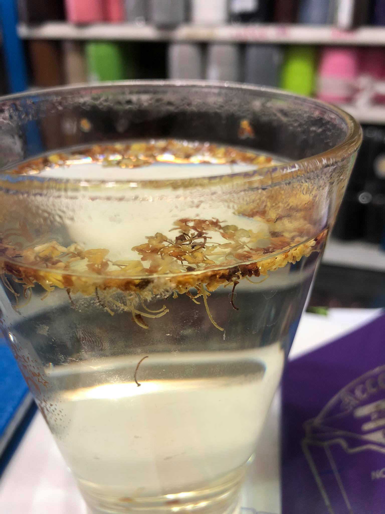 รีวิวมัทฉะ 2