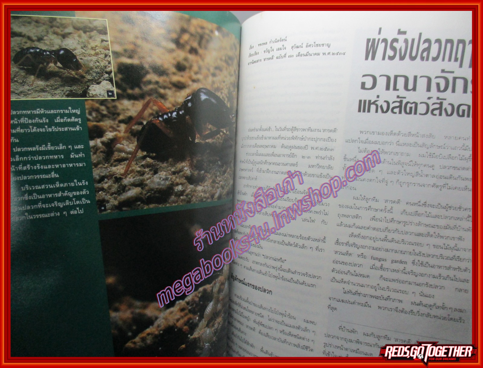 นิตยสารสารคดี ฉบับพิเศษ ห้วยขาแข้ง มรดกสัตว์ป่าและพืชพันธ์ของโลก
