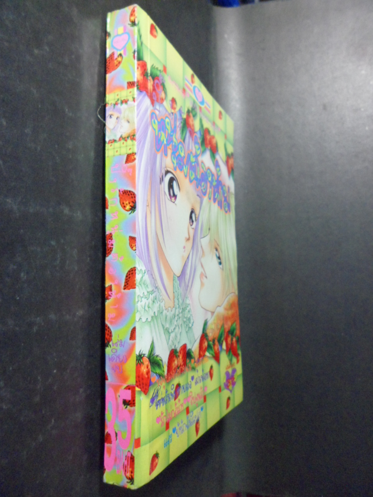 ปิ๊งรักหนุ่มต้องห้าม,เล่มเดียวจบ,หมึกจีน,สภาพดี,344หน้า