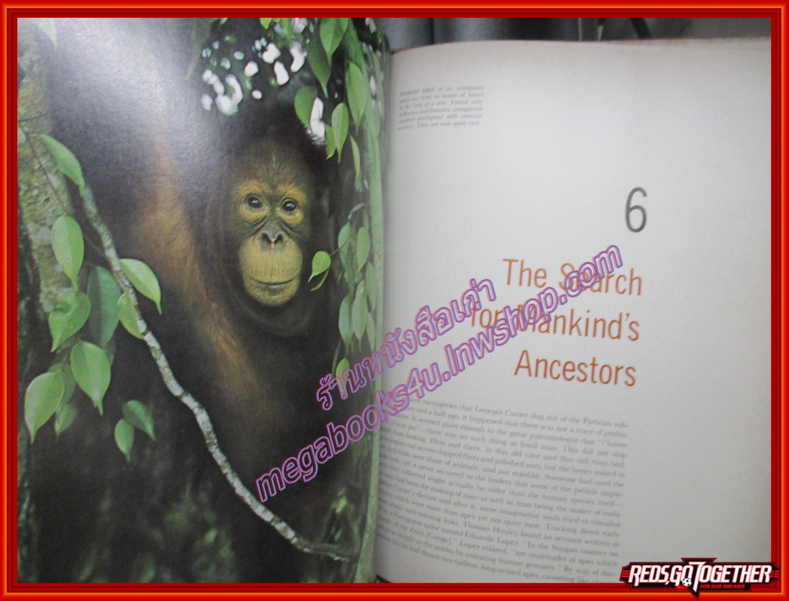 หนังสือ EVOLUTION LIFE NATURE LIBRARY (ภาษาอังกฤษ) ตำหนิ ขอบปกแหว่งนิด
