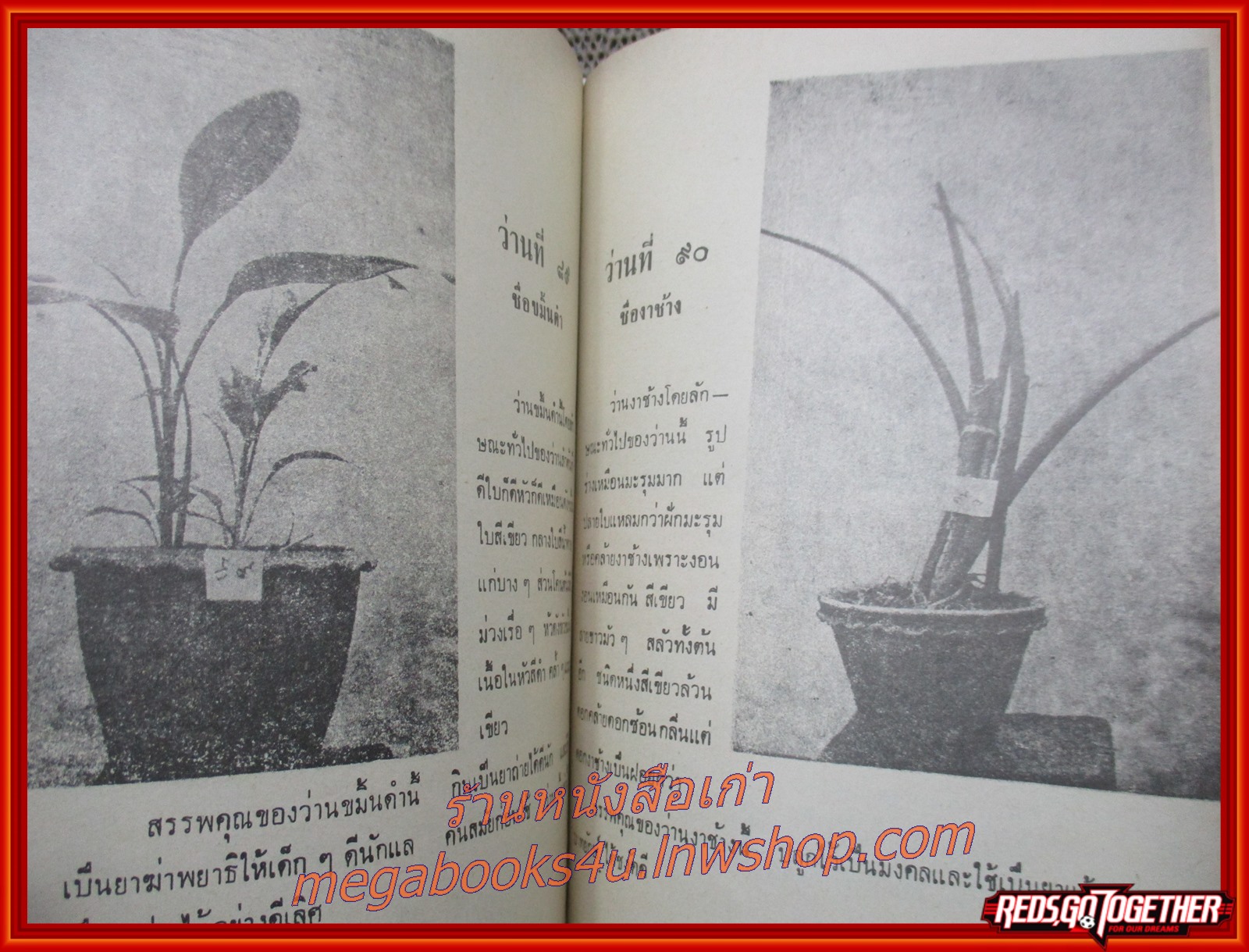 หนังสือ ตำราว่าน กบิลว่าน108 ผู้เขียน สมาน คัมภีร์ และ ทัศนา ทัศนมิตร สภาพใหม่