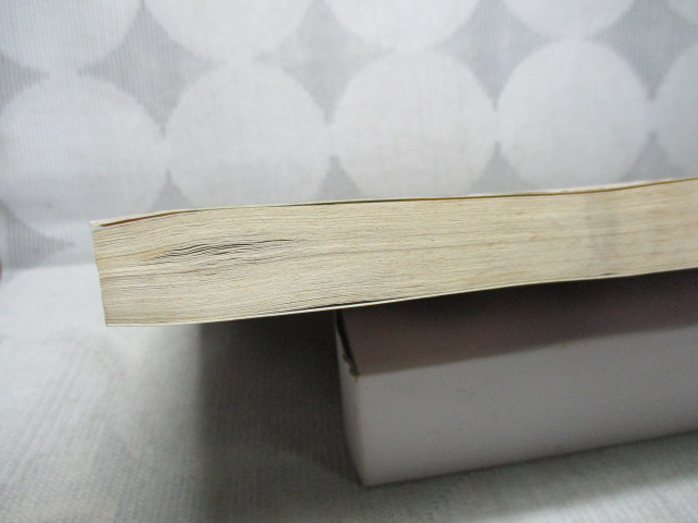 อาญาสวาททาสคนเถื่อน โดย พิมอักษรา สนพ.MY LOVE