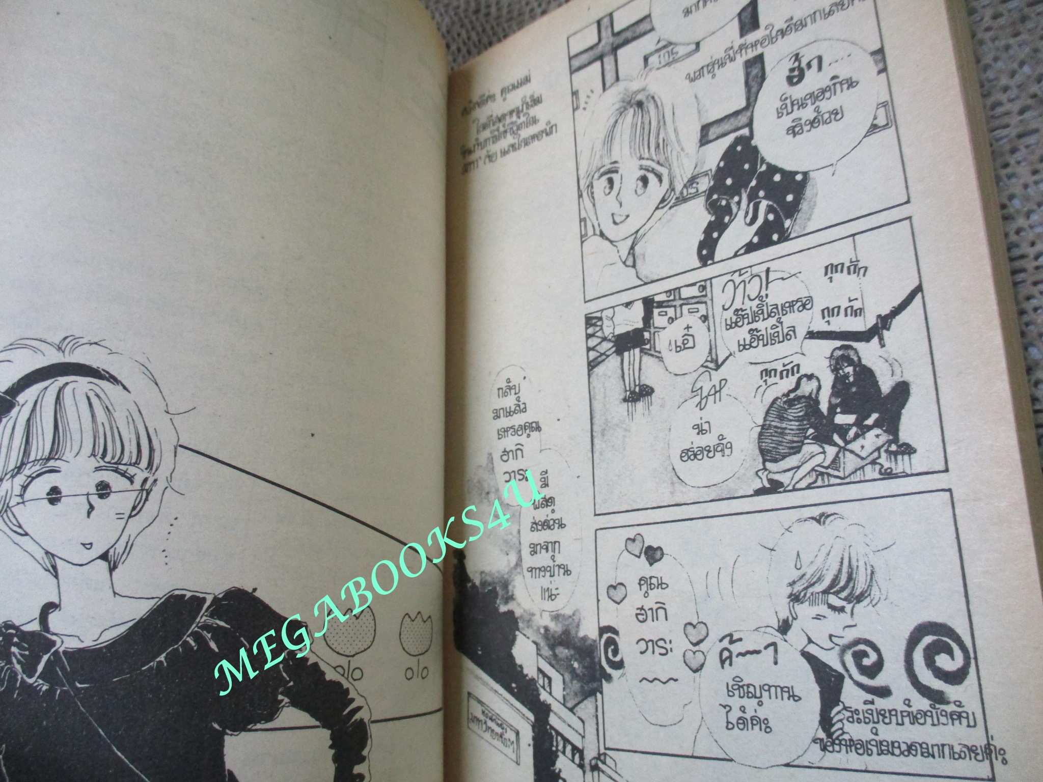 รอวันฉันพบเธอ / เล่มเดียวจบ / สยามฯ /