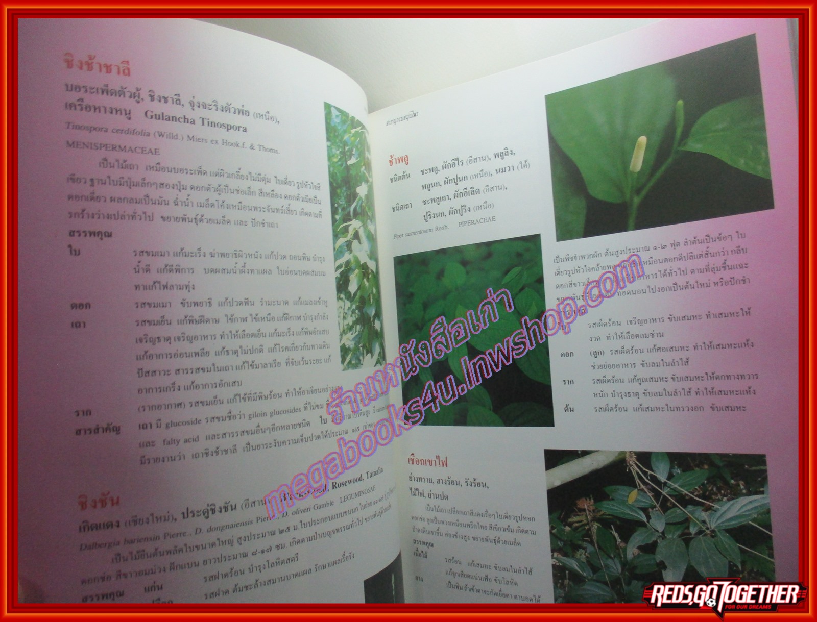 ร่วมอนุรักษ์มรดกไทย สารานุกรมสมุนไพร รวมหลักเภสัชกรรมไทย โดย วุฒิ วุฒิธรรมเวช ปกแข็ง หนาใหญ๋