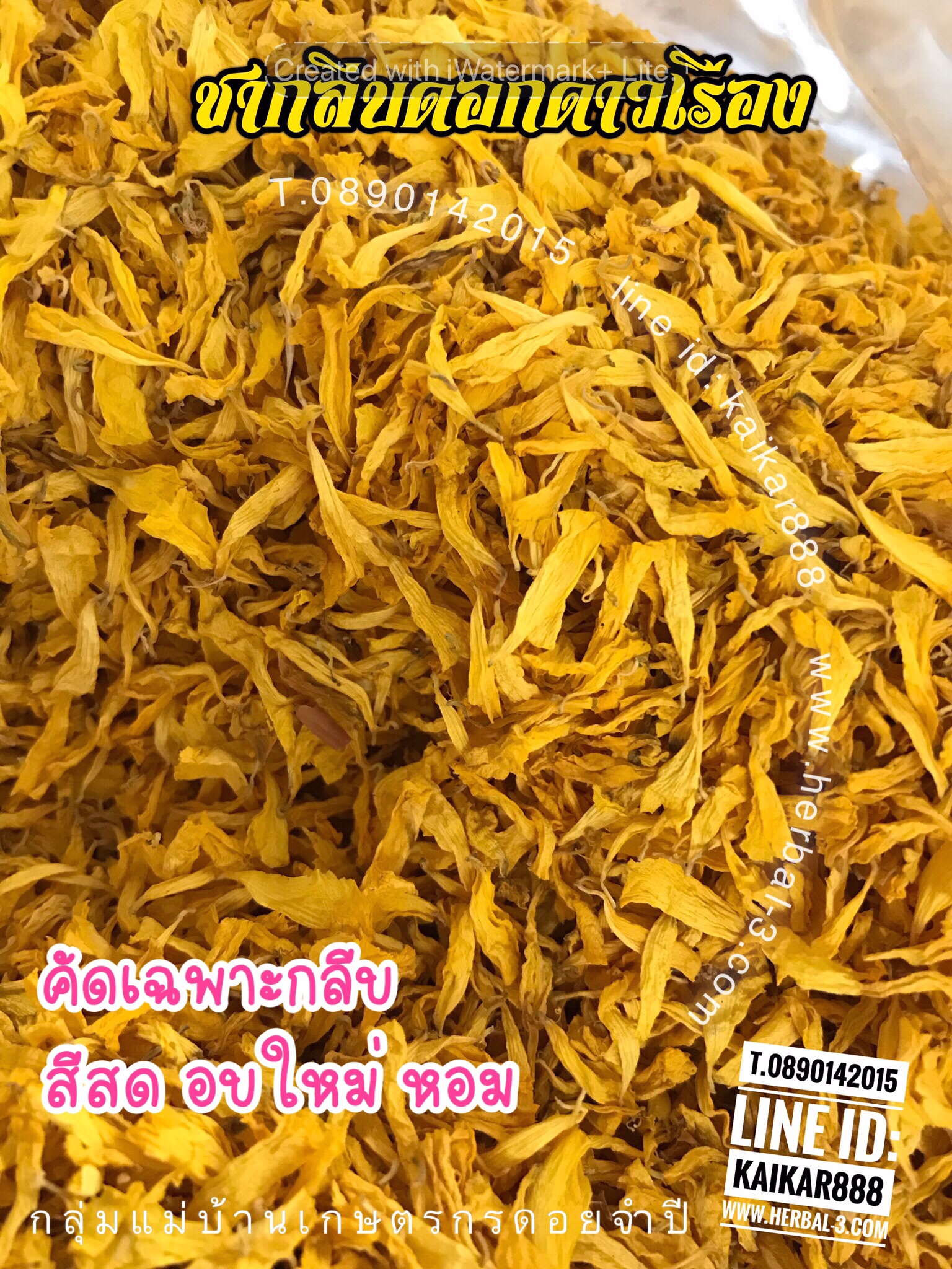 กลีบดอกดาวเรือง (กิโล)