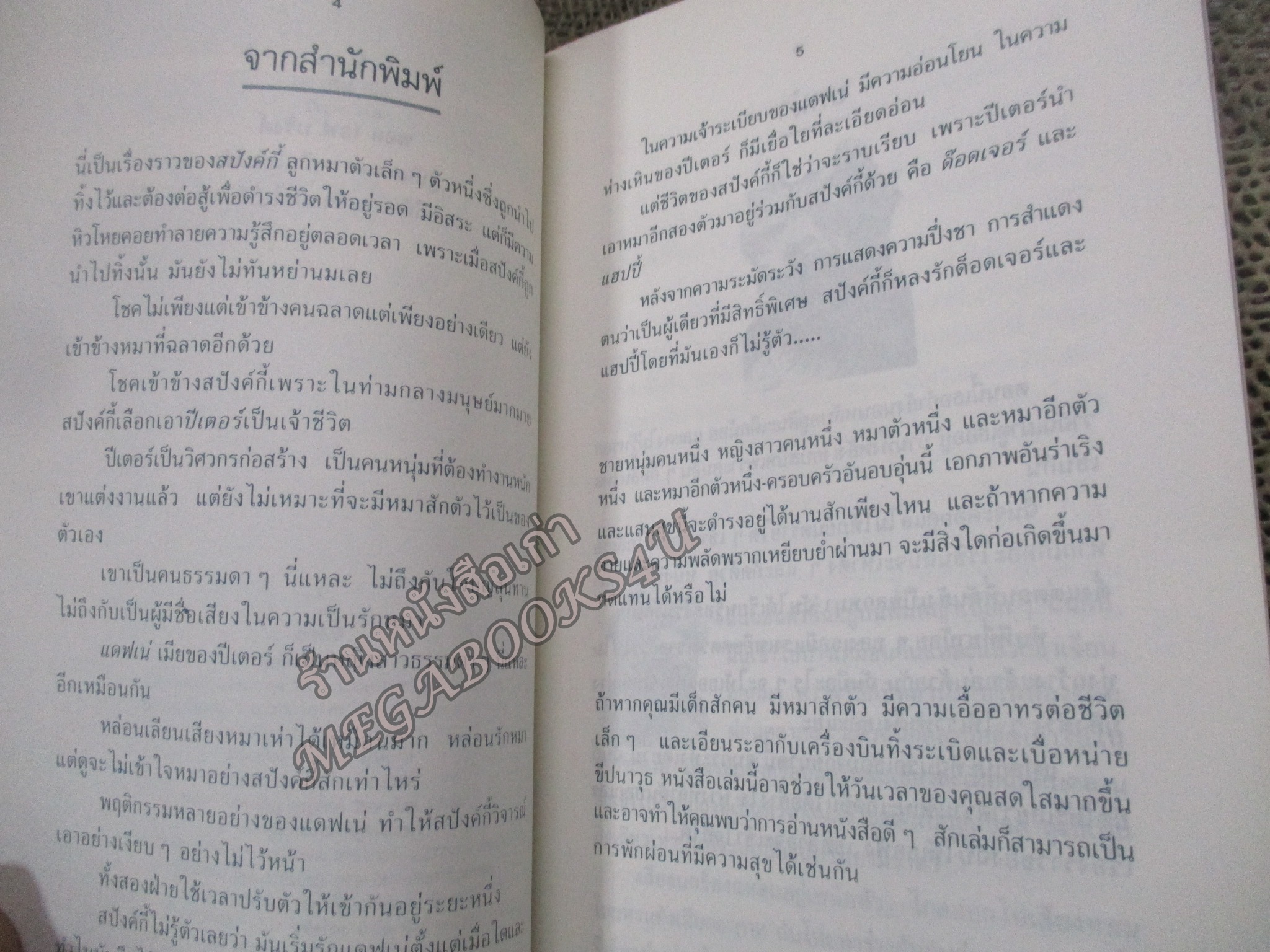 สปังค์กี้เพื่อนยาก SPUNKY ของ โดริ บริงค์ · ปิยะภา แปล