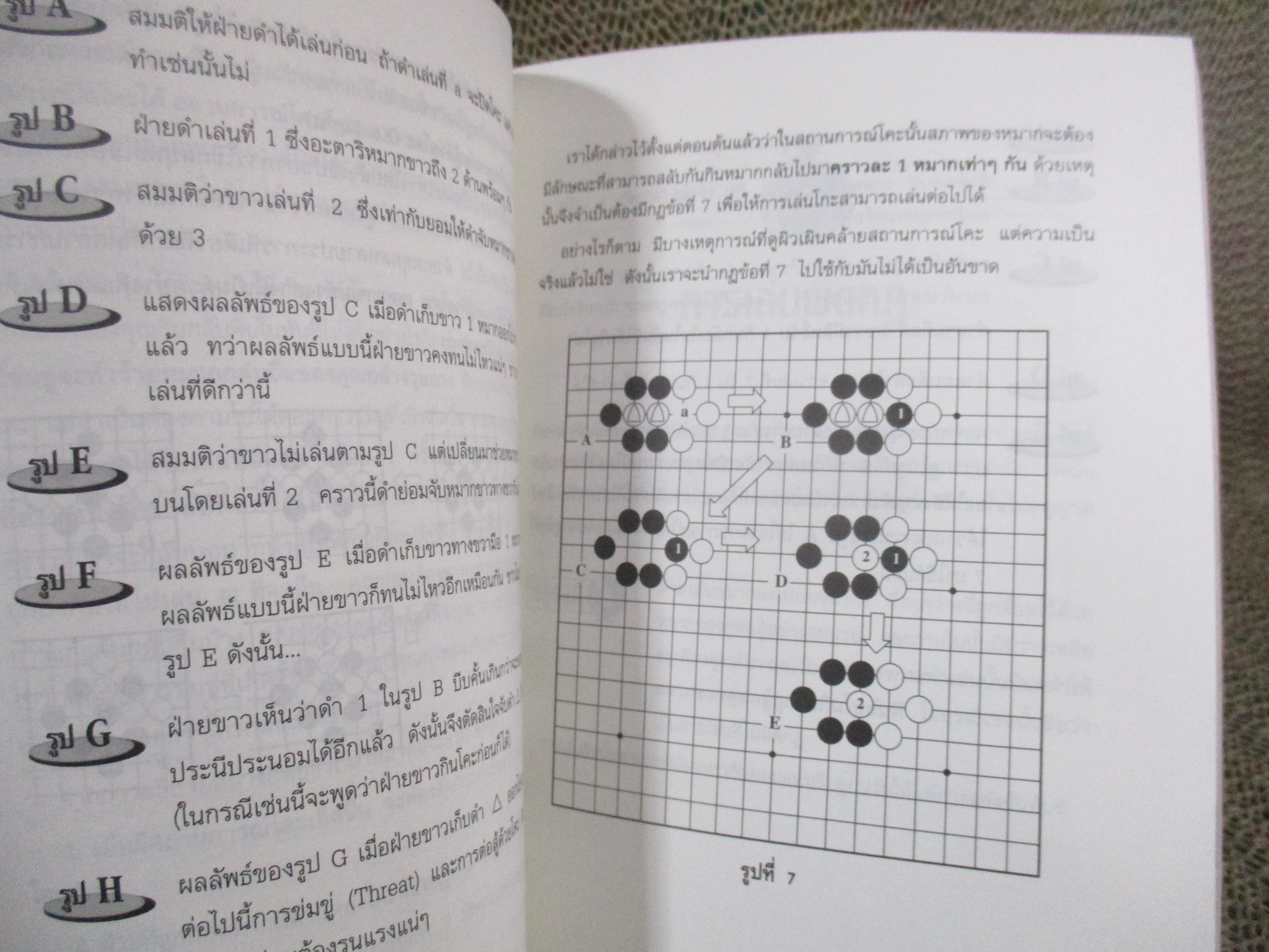 โกะ อัจฉริยะเกมแห่งพิภพ / วันชัย ประชาเรืองวิทย์ / มีคราบน้ำ เปิดปกติ
