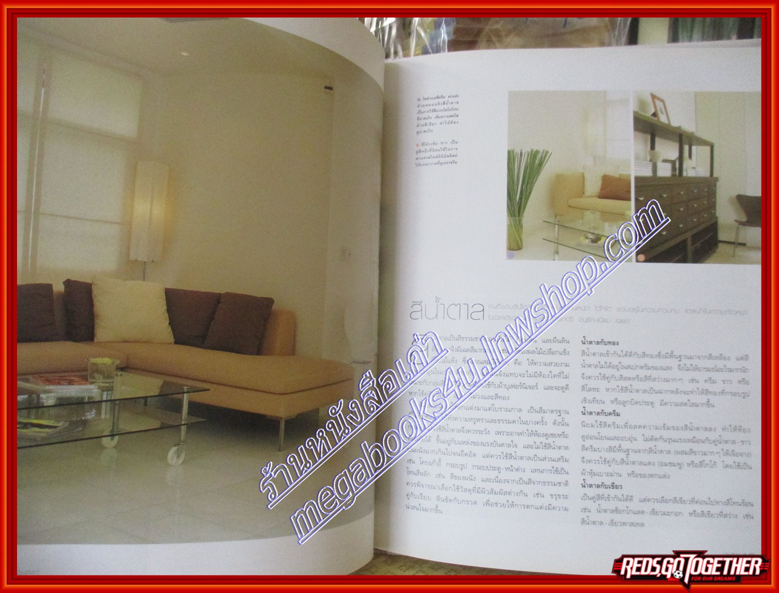 คู่มือการจัดและตกแต่งบ้านสีสด