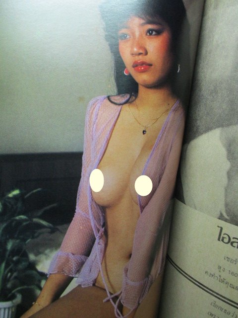 นิตยสารเพลย์บอยฉบับมินิ เล่มxx ปี2525 สภาพดี