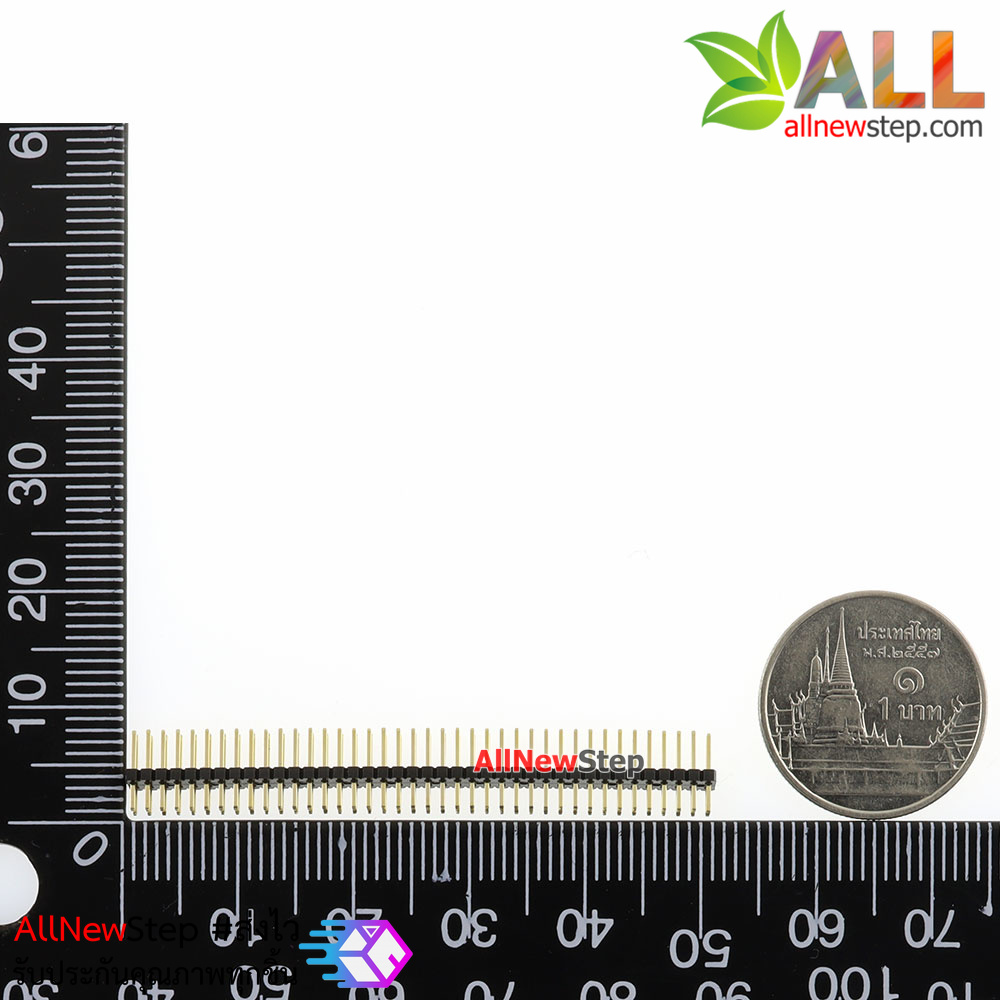 ขาก้างปลา 2x40 ขา ระยะห่าง Pitch 1.27mm