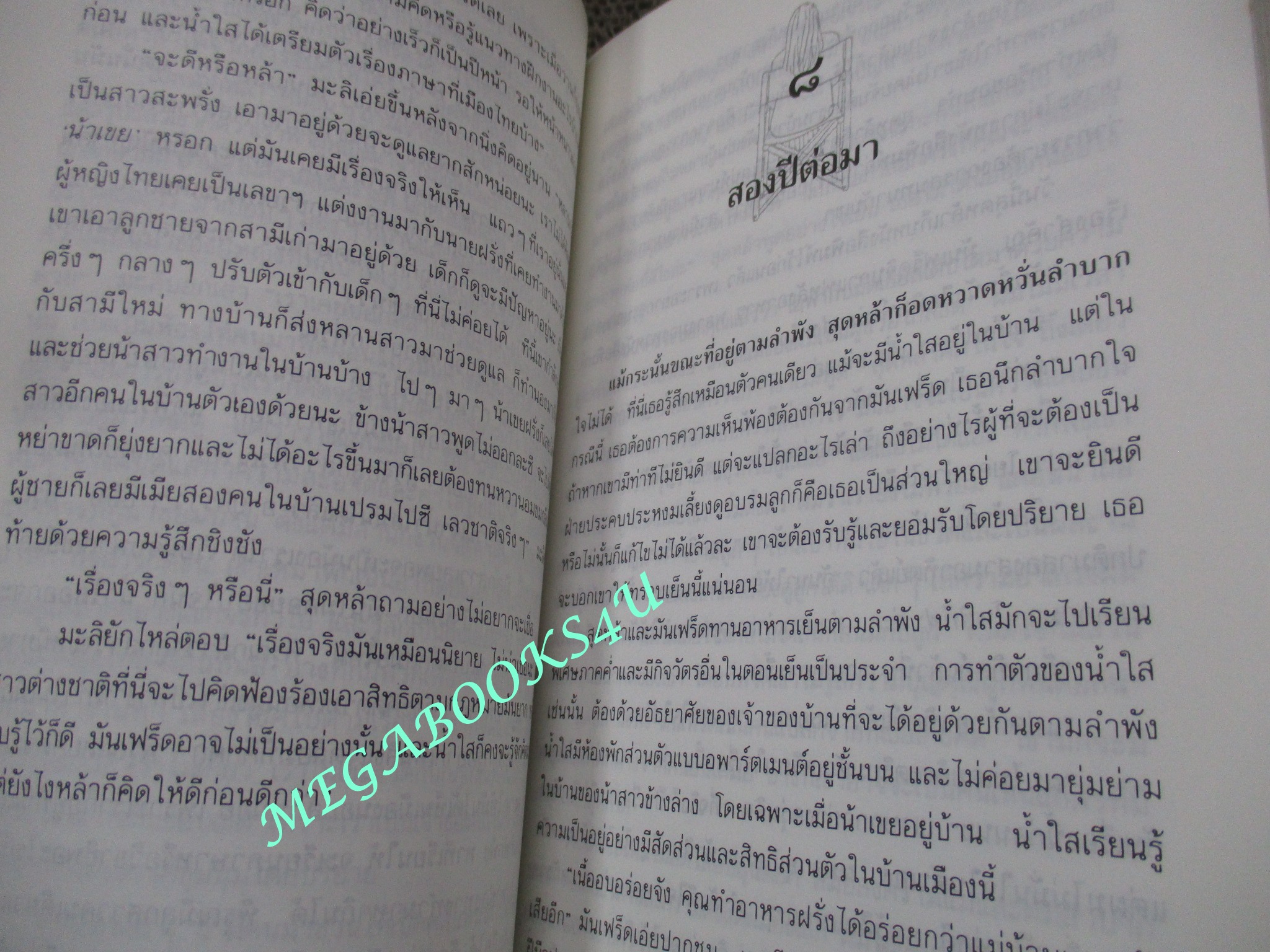 เม็ดข้าวที่ขอบจาน. โดย สีมน