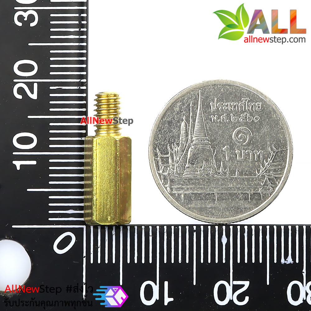 น็อต m4 ขนาด 12+6mm