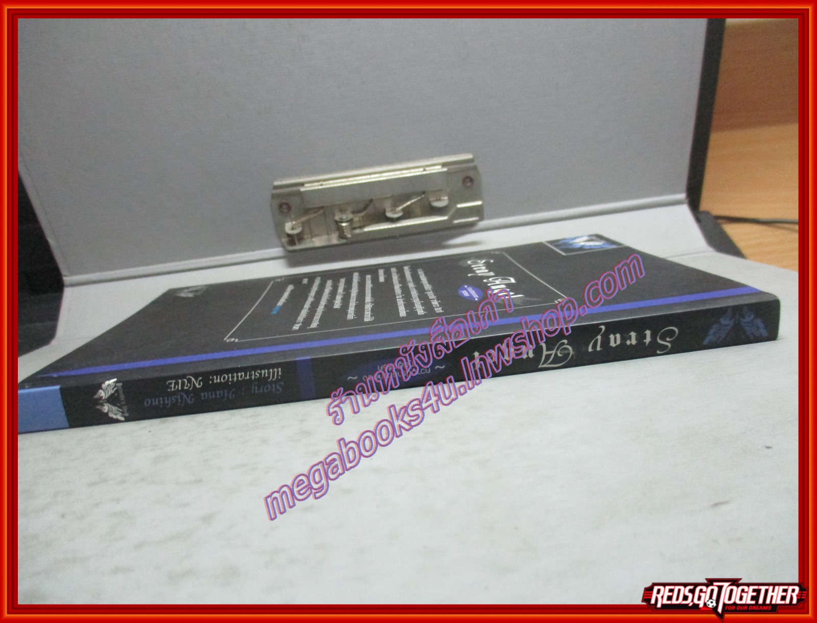 นิยายวาย stray angel