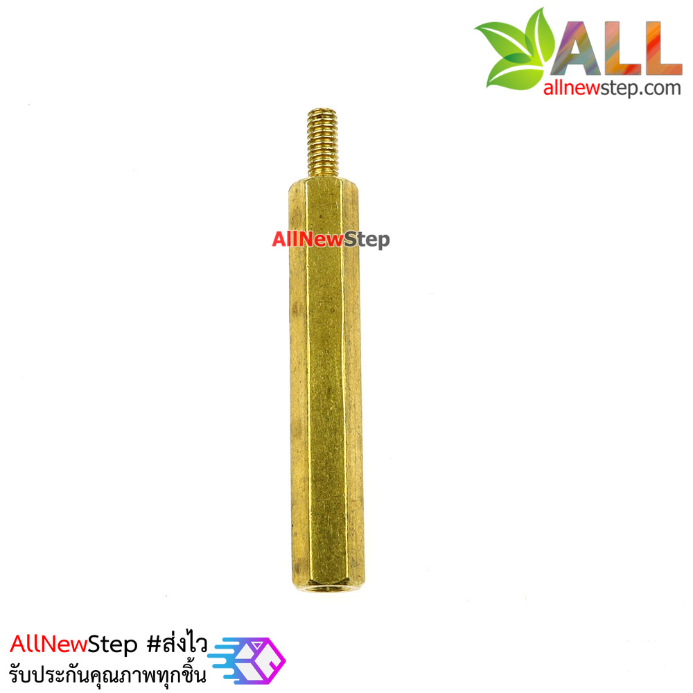 Nut screw m2.5 น็อตสกรู M2.5 ขนาด 30+6mm