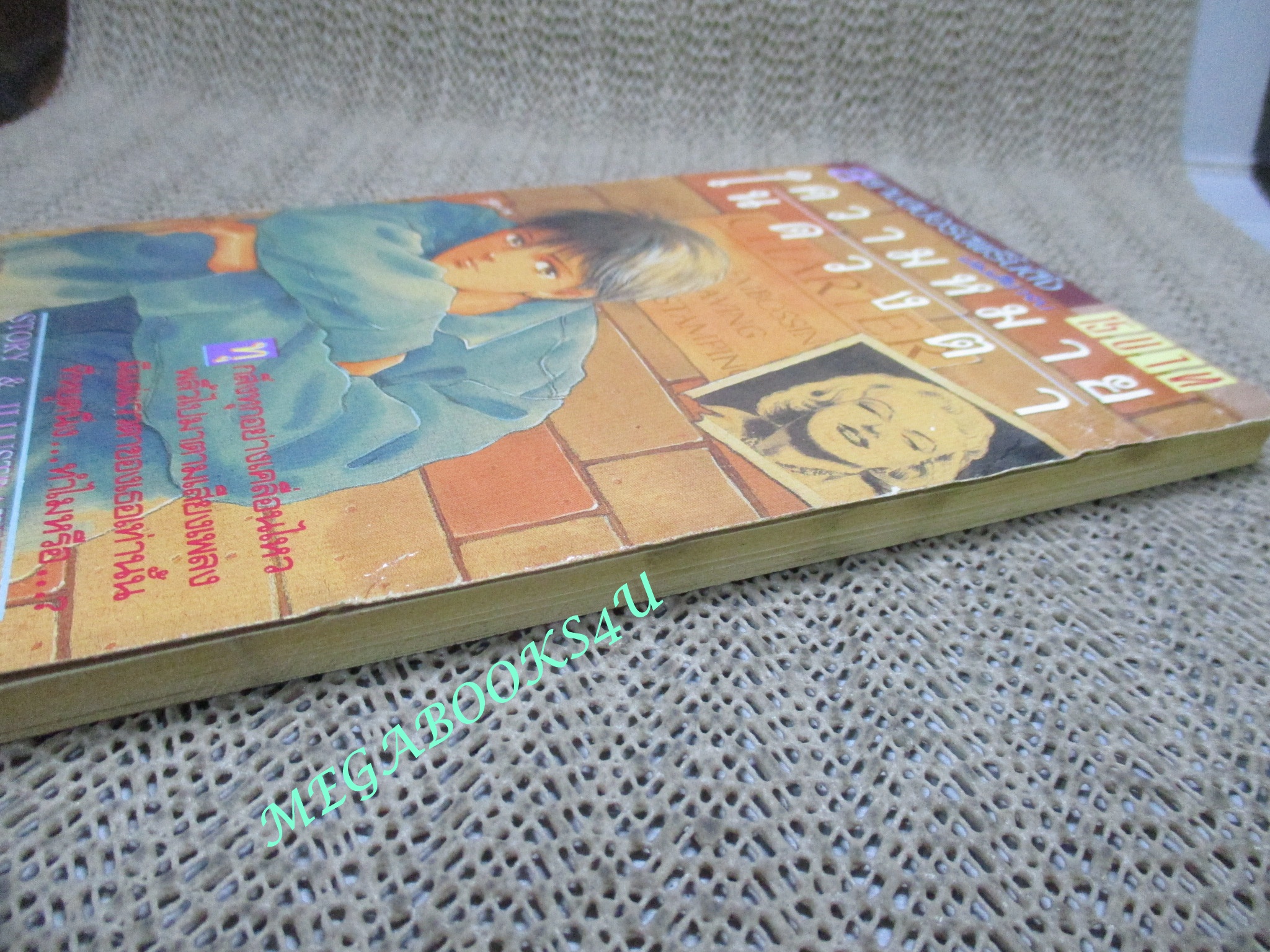 ความหมายในดวงตา / ADACHI KYOKO / เล่มเดียวจบ / สยามฯ /