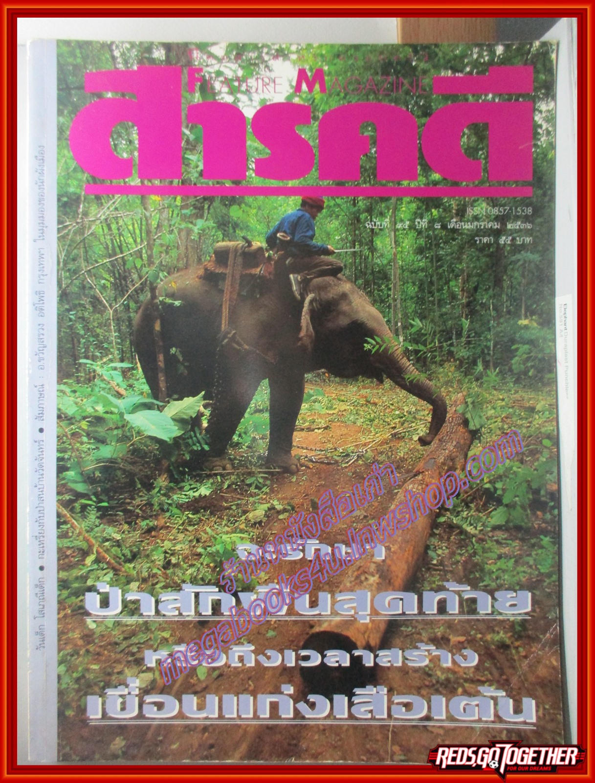 นิตยสารสารคดี ฉบับที่095 ปีที่08 มกราคม 2536 แก่งเสือเต้น,โสเภณีเด็ก,ป่าสนบ้านวัดจันทร์,เชียงใหม่