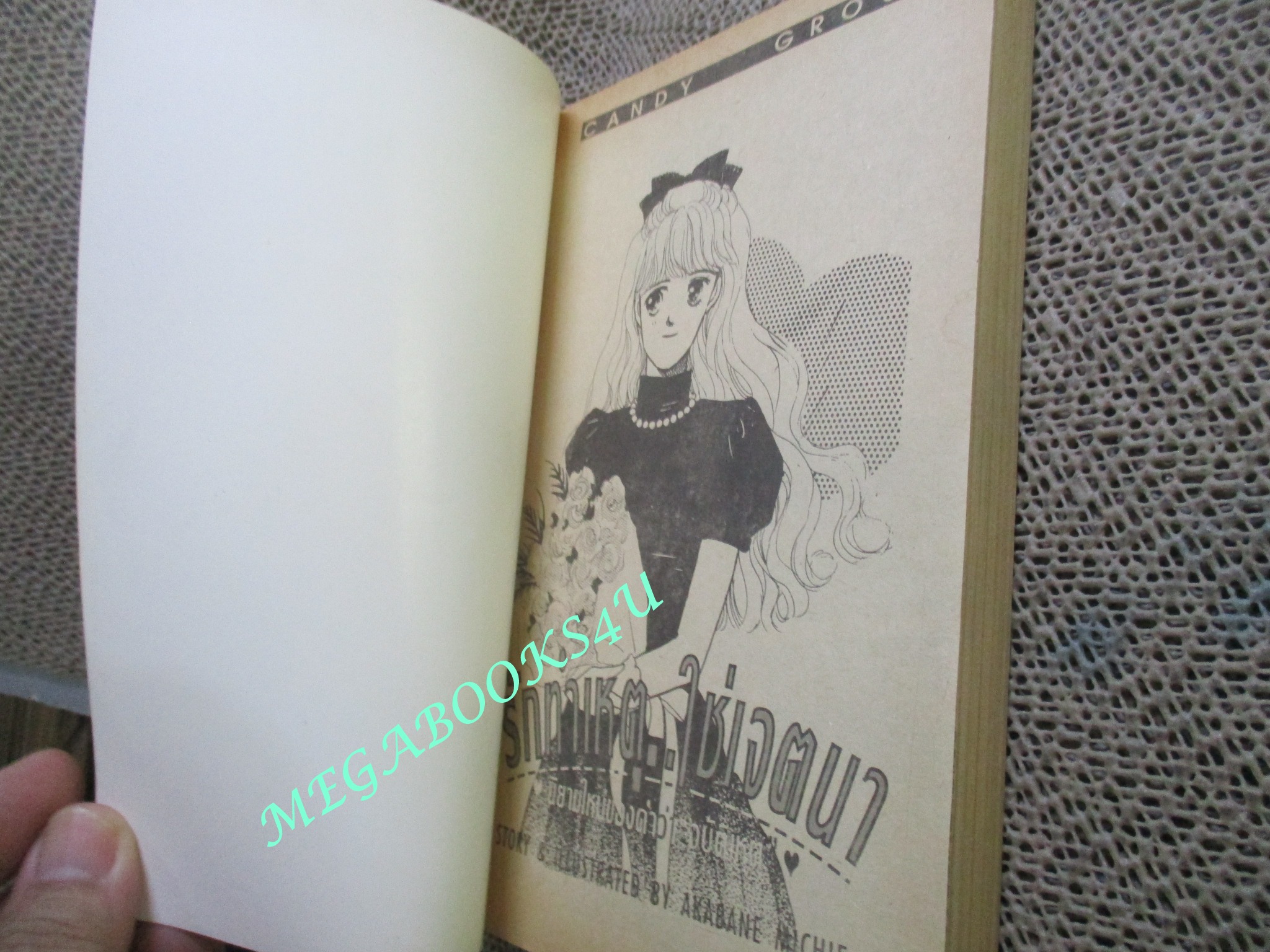 รักทำเหตุ ใช่เจตนา โดย AKABANE MICHIE เล่มเดียวจบ สนพ.แคนดี้ การ์ตูนบ้าน