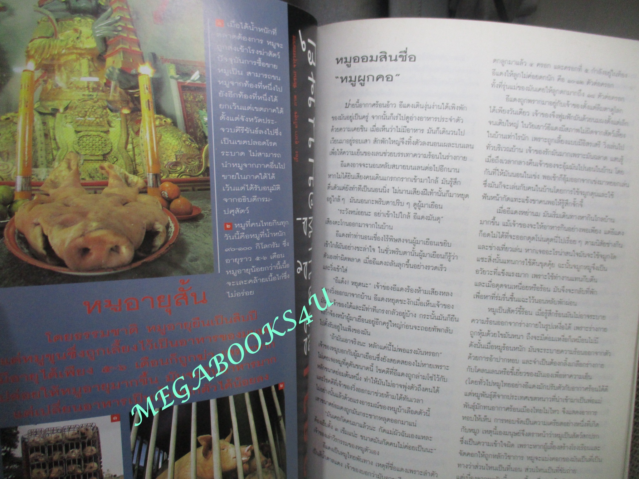 นิตยสารสารคดี ฉบับที่119 มกราคม 2538 หมูชีวิตนี้เพื่อมนุษย์ ชนชาติจ้วง วอชิงตันดีซี ยะลา