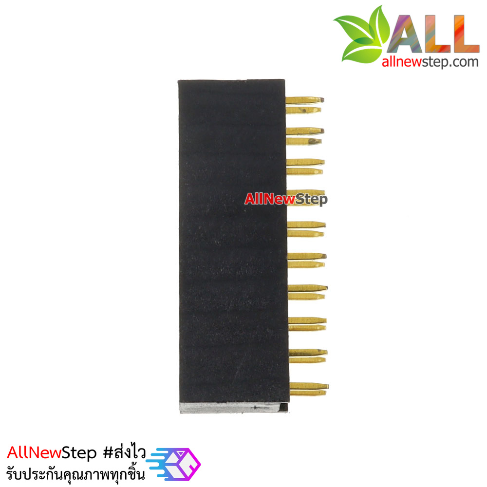 2.54mm pitch female double row female socket 2x10 pin