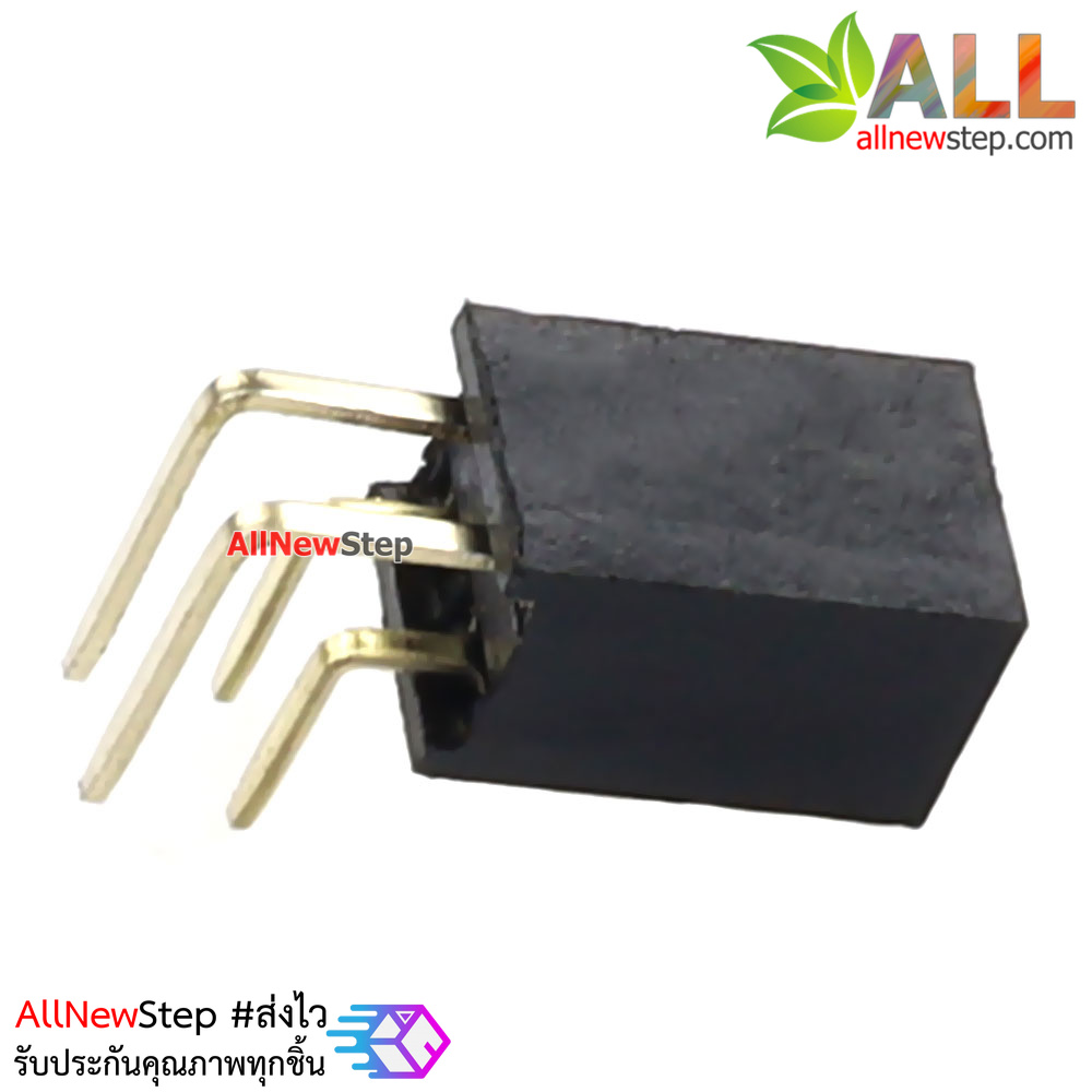 ขาก้างปลาตัวเมียแบบฉาก 2x2 ขา Double Row Hole Jack 2x2 PIN Header 2.54mm