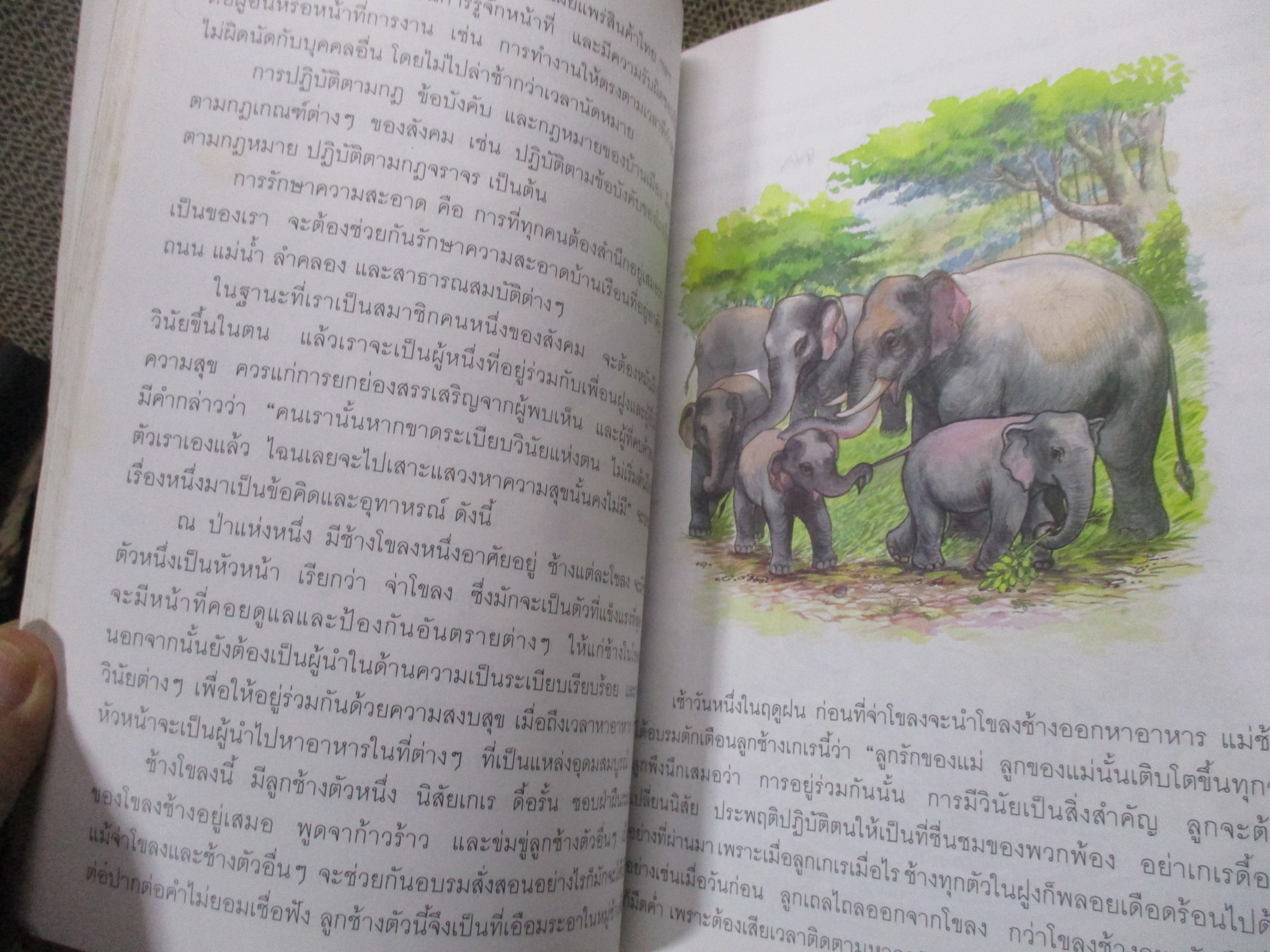 หนังสือเรียนภาษาไทย ชุดพื้นฐานภาษา เล่ม2 ชั้นมัธยมศึกษาปีที่ 5 / ปี2542 / สภาพค่อนข้างดี ภายในไม่มีข้อความเขียน /