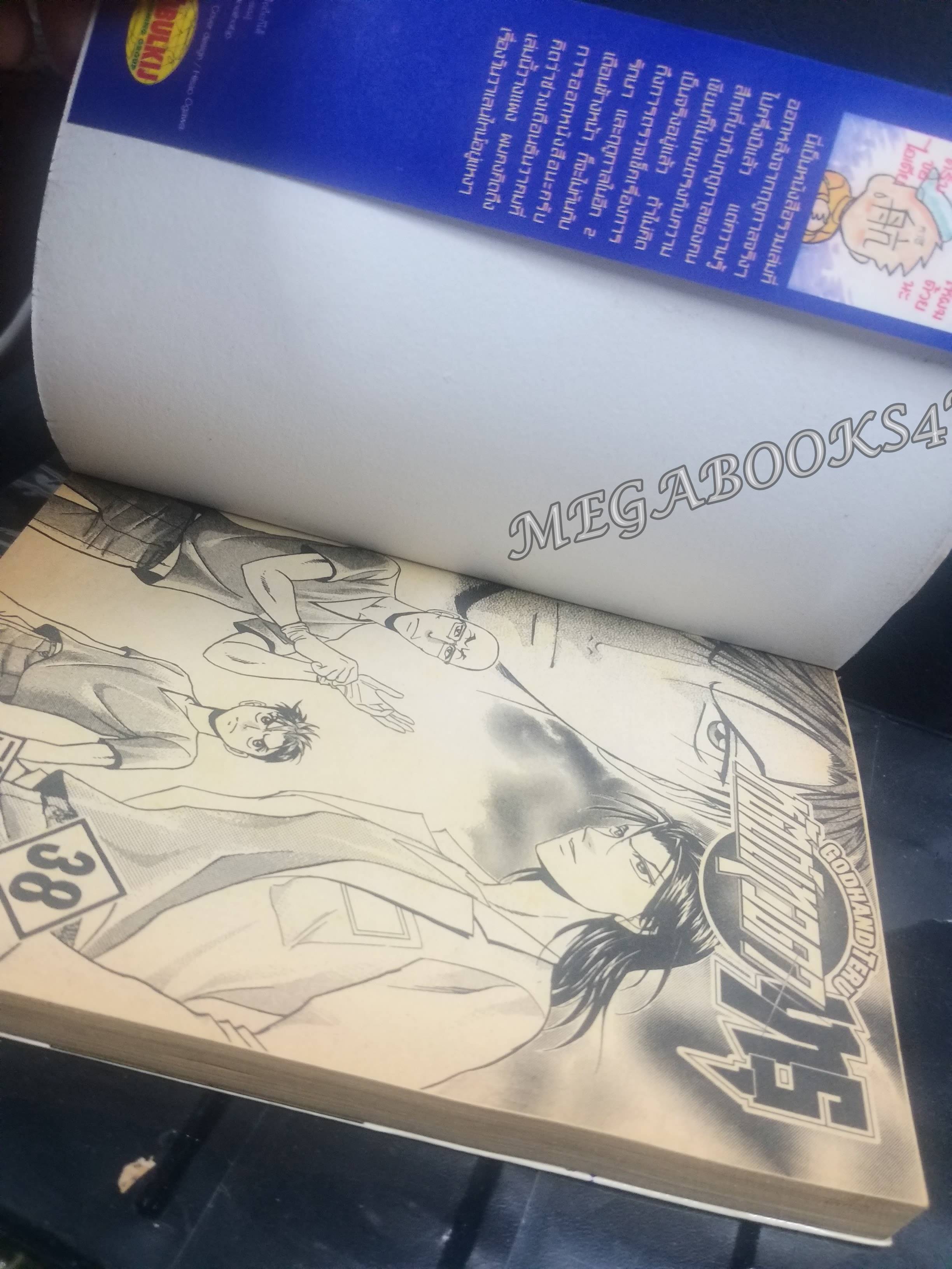 หัตถ์เทวดาเทรุ เล่ม38 โดยKAZUKI YAMAMOTO สนพ.วิบูลย์กิจ การ์ตูนบ้าน (62เล่มจบ)