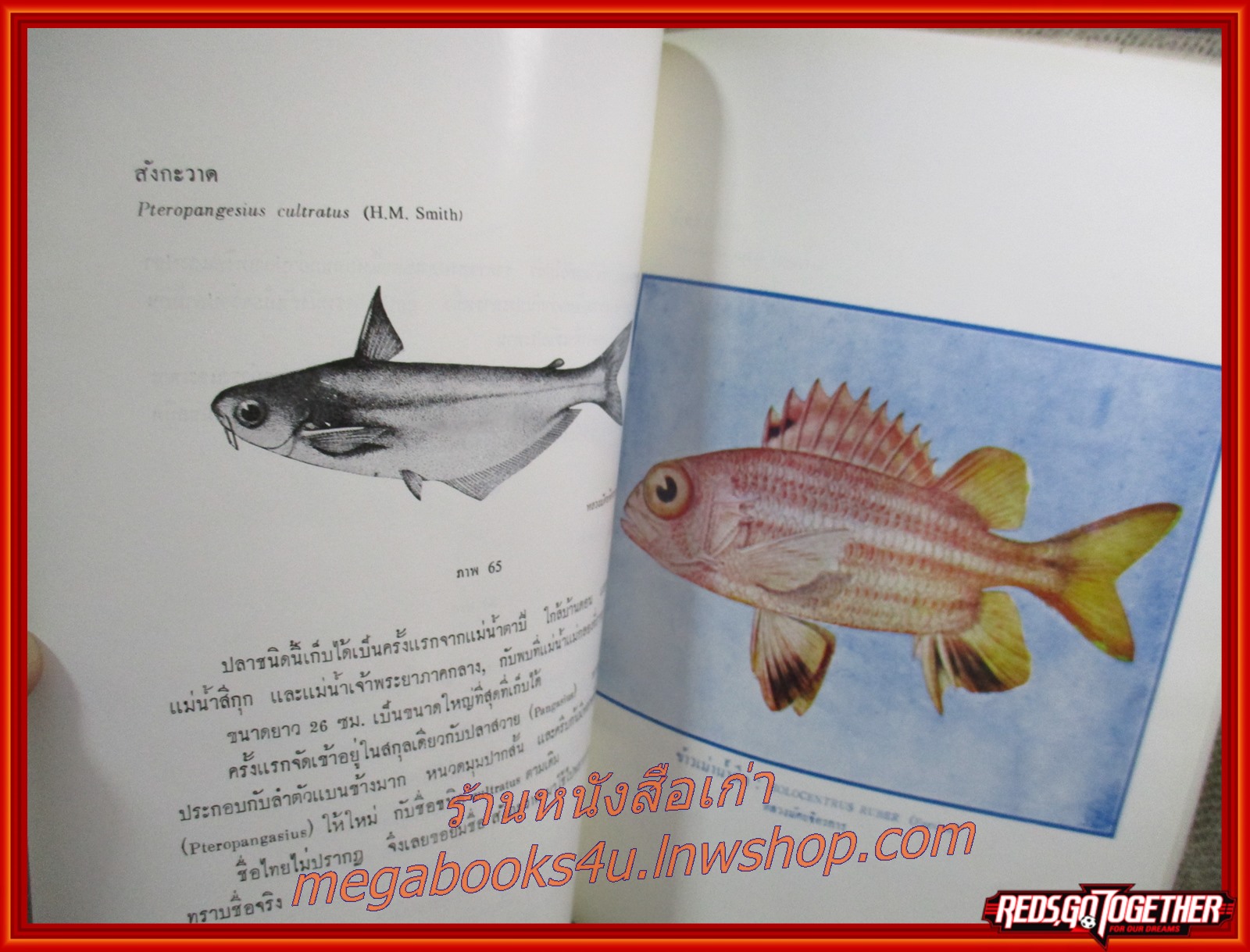 ปลาไทย อนุสรณ์งานพระราชทานเพลิงศพ หลวงมัศย์จิตรการ (ประสพ ตีระนันทน์)
