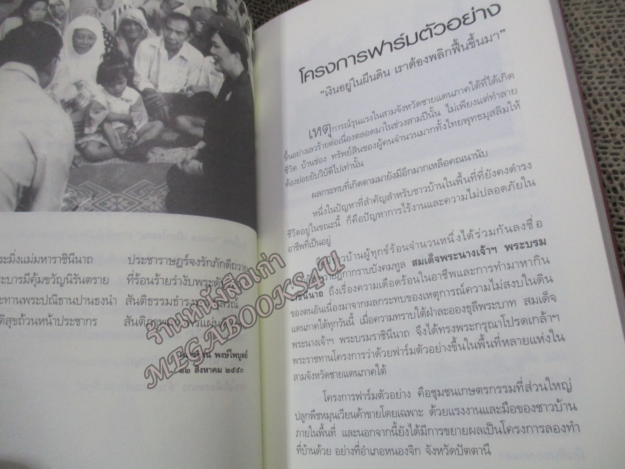 เมื่อฟ้าหม่น เจดีย์หักที่ปักษ์ใต้ / วิมลพรรณ ปีตธวัชชัย / สัมผัสกับหลากหลายเรื่องราวในพื้นที่ รวมถึงปัญหาที่เกิดจากการทำงาน ของเจ้าหน้าที่รัฐในหลายเหตุการณ์