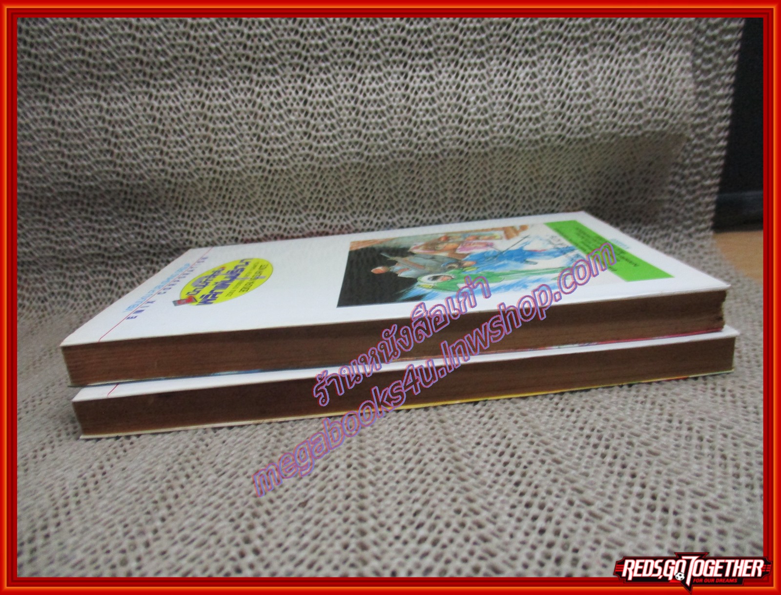 การ์ตูนบ้าน เปิดบันทึกลึกลับ ครบชุด2เล่มจบ สนพ.วิบูลย์กิจ