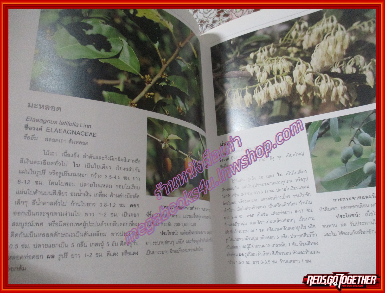 สวนพฤกษศาสตร์สมเด็จพระนางเจ้าสิริกิตติ์ QUEEN SIRIKIT BOTANIC GARDEN เล่ม1 องค์การสวนพฤกษศาสตร์