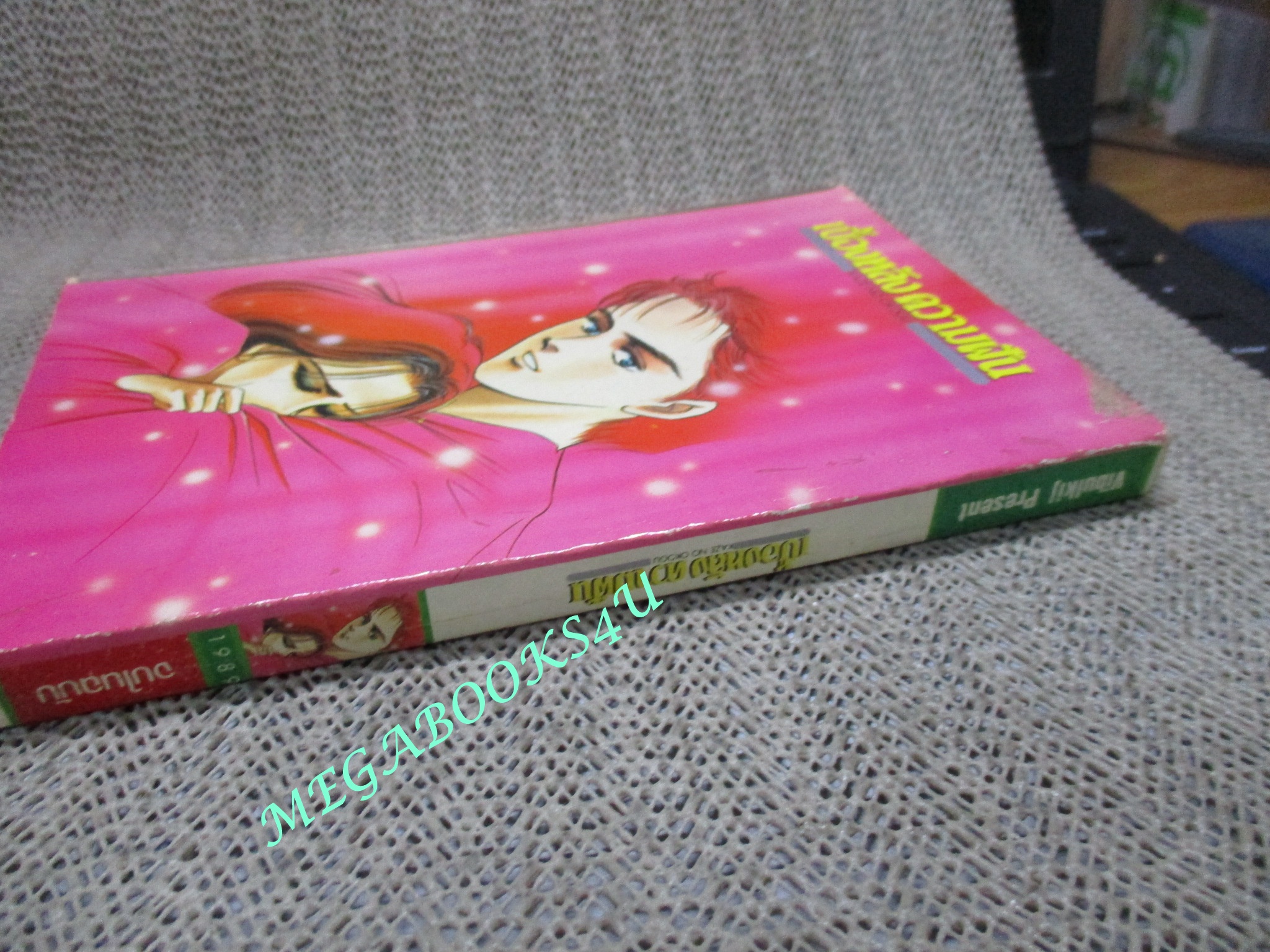 การ์ตูนบ้าน เบื้องหลังความฝัน / เล่มเดียวจบ / วิบูลย์กิจ /