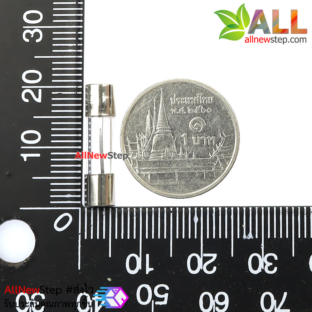 ฟิวส์ 10A 250V ขนาด 5x20mm fuse glass tube 10a 250v