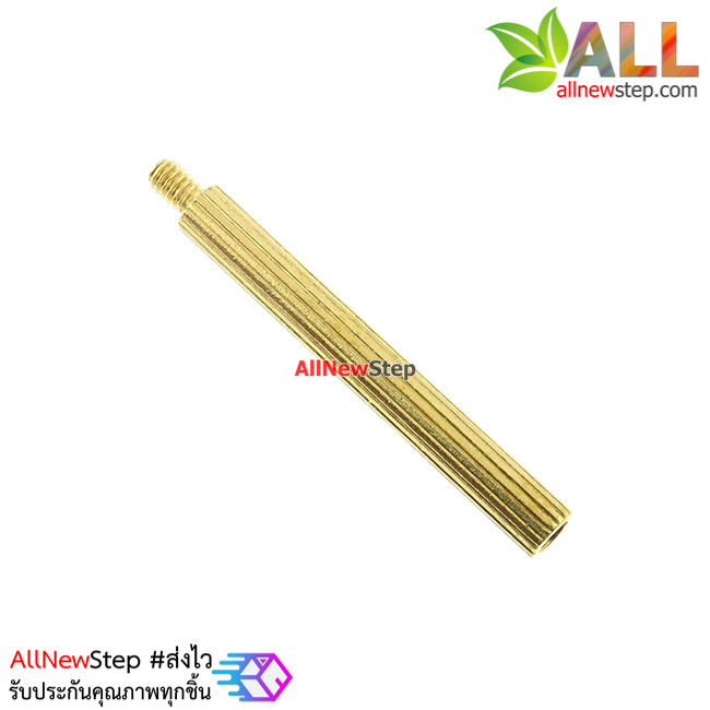 น็อตทองเหลือง NUT M2 ขนาด 25+3mm