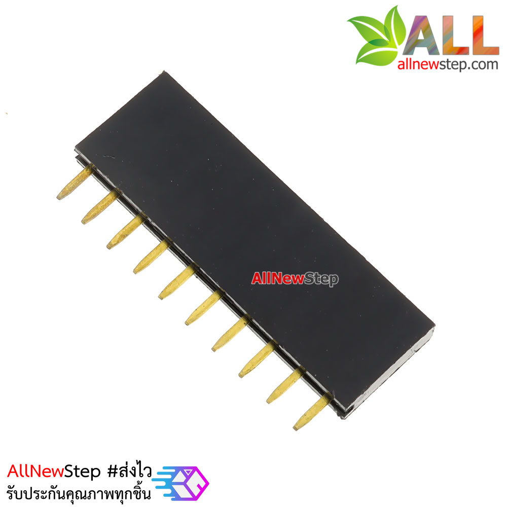 1X10 Pin 10P Single Row Female Header 2.54mm pitch straight จำนวน 1 ชิ้น