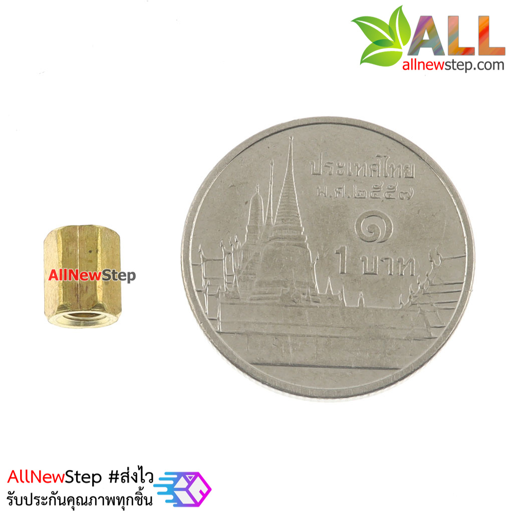 Pillars Nut M3 น็อตตัวเมีย ทองเหลืองแบบยาว 6mm