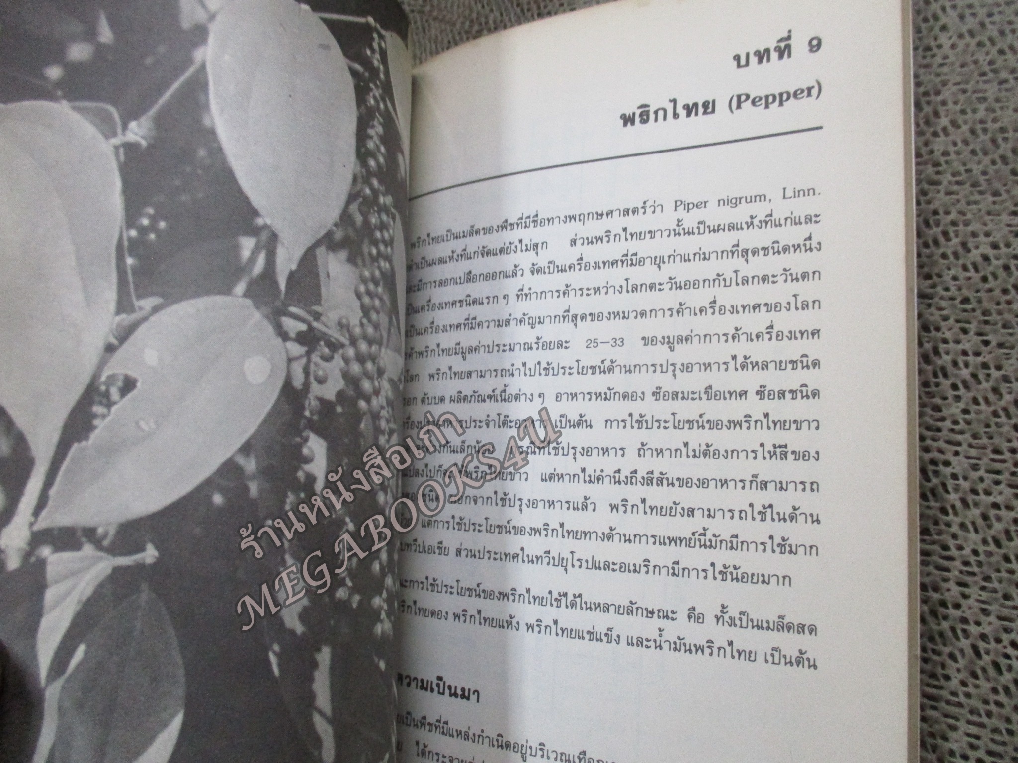 เครื่องเทศ โดย ธนาคารกสิกรไทย / สภาพปานกลาง ปกเก่า มีคราบฝุ่น คราบน้ำบางๆ