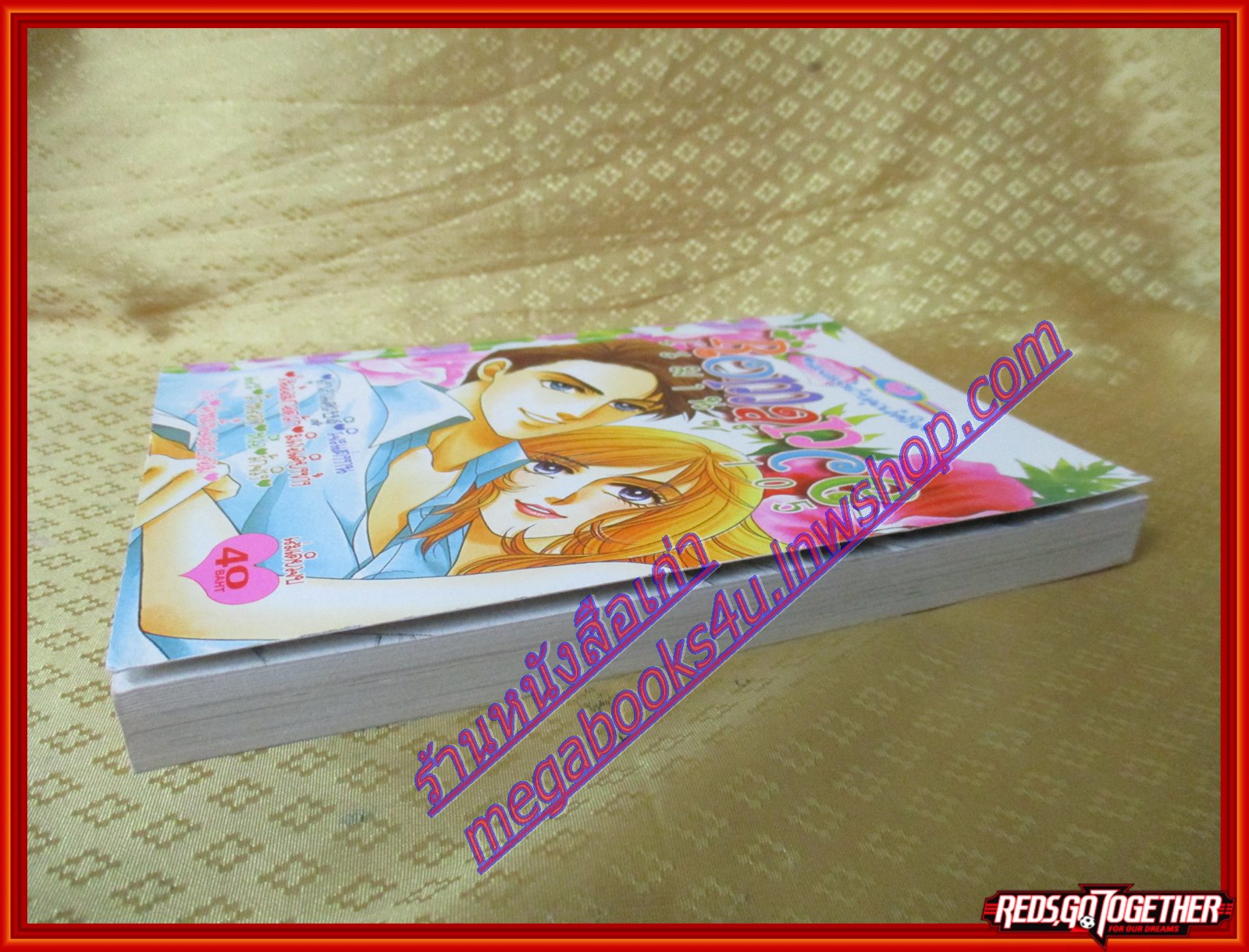 การ์ตูนบ้าน ROMANCE 105 โรมานซ์ 105 เล่มเดียวจบ โดยxxx สนพ.หมึกจีน