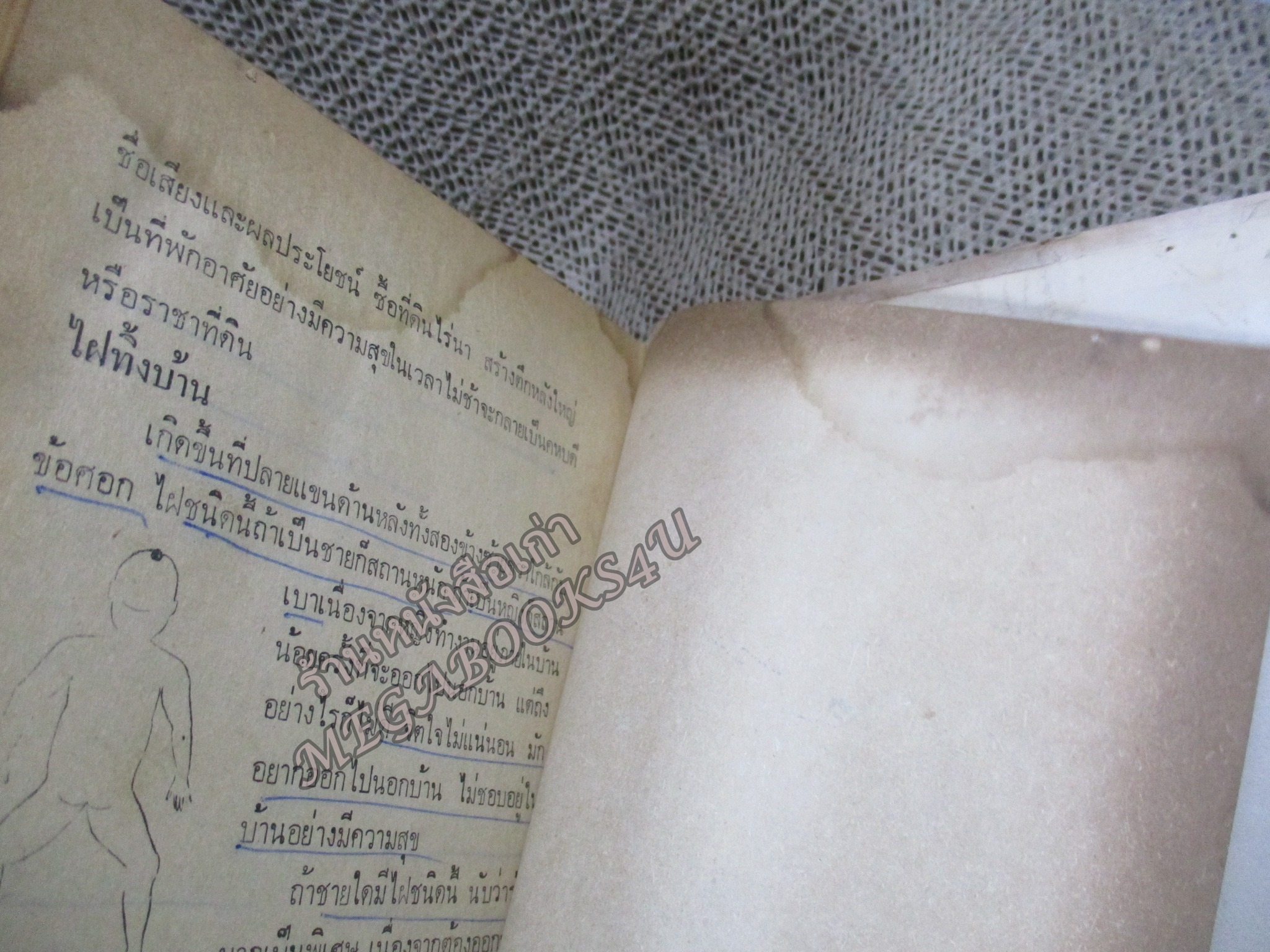 ตำราโหงวเฮ้ง ดูลักษณะดี-ชั่ว ของบุคคล โดย จำลอง พิศนาคะ / ช่วงปกหลังมีคราบน้ำ เปิดได้ตามปกติ