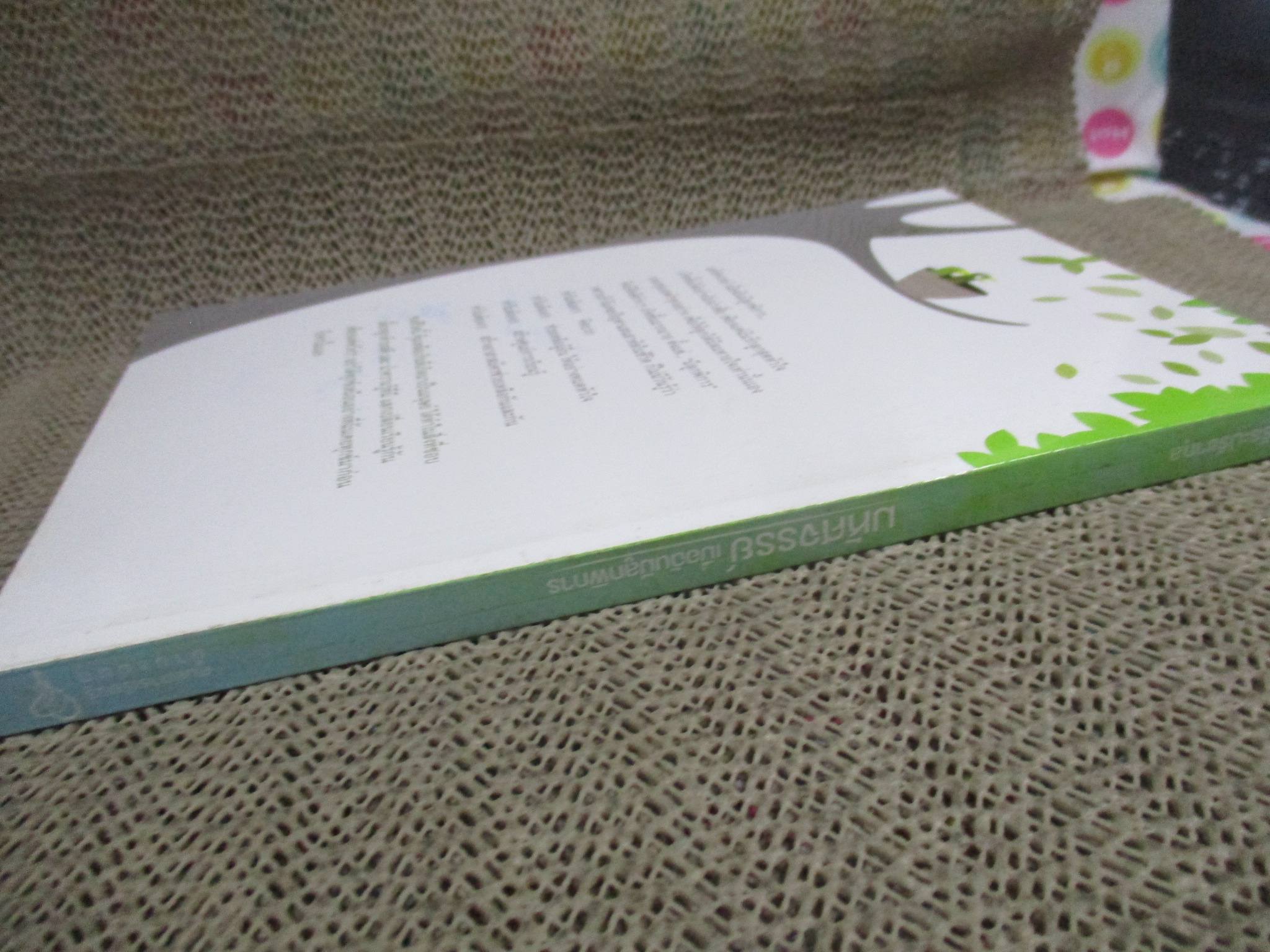 มหัศจรรย์ เมื่อฉันมีลูกพิการ