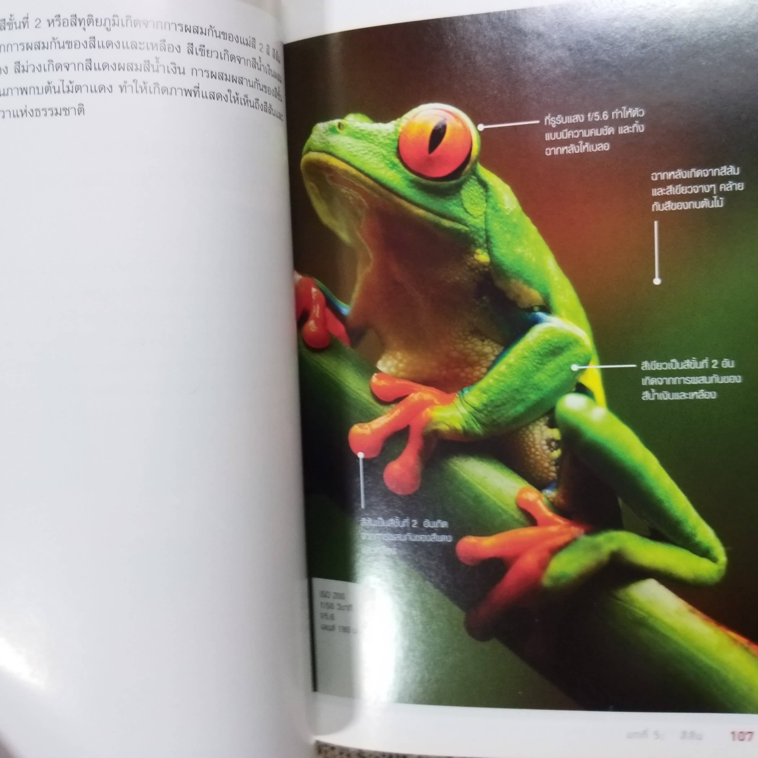 ถ่ายภาพให้เฉียบสวยด้วยองค์ประกอบศิลป์/ ลอรี่ เอ็กเซล และคณะ /แปลโดย สุวัฒน์