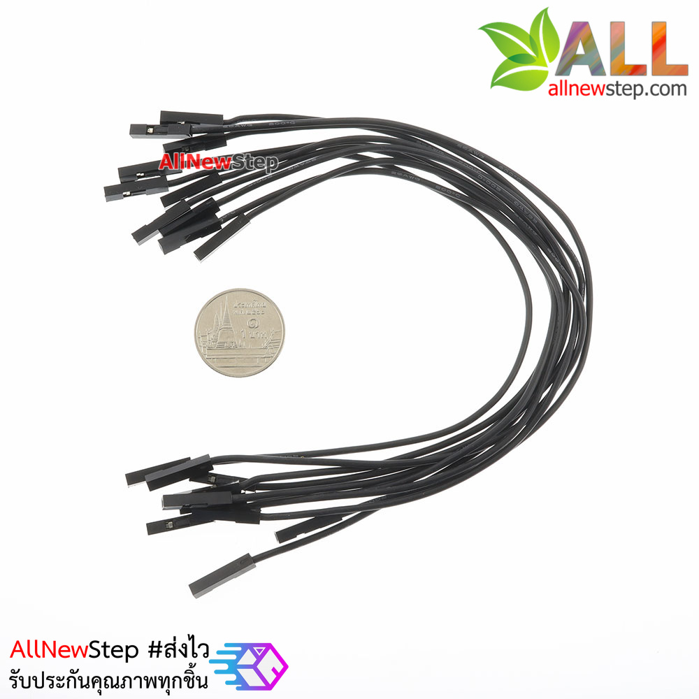 สายไฟจัมเปอร์ 20cm สาย jumper 20 cm จำนวน 10 เส้น เมีย-เมีย สีดำ