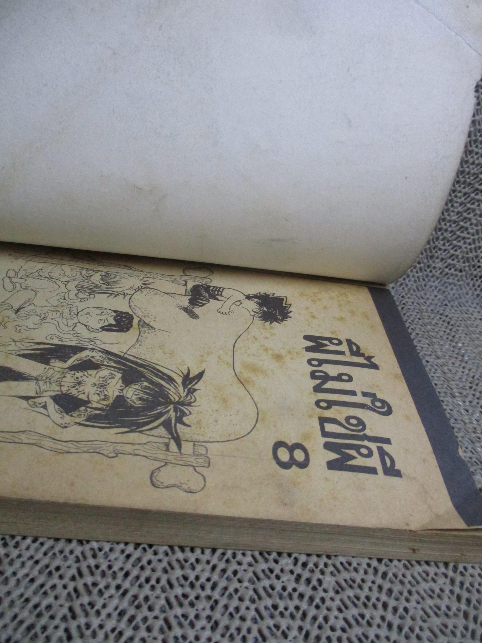 การ์ตูนบ้าน ผีไม่ใช่ผี 8 / หมึกจีน / สภาพปานกลาง