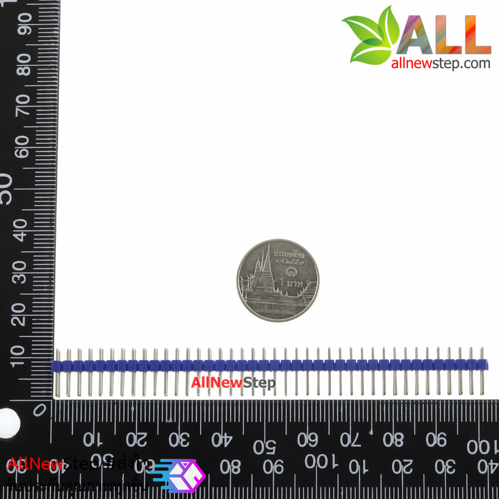 ก้างปลา 2x40 ขา สีน้ำเงิน 2.54mm Blue Single Row Male 2X40 Copper Pin Header Strip