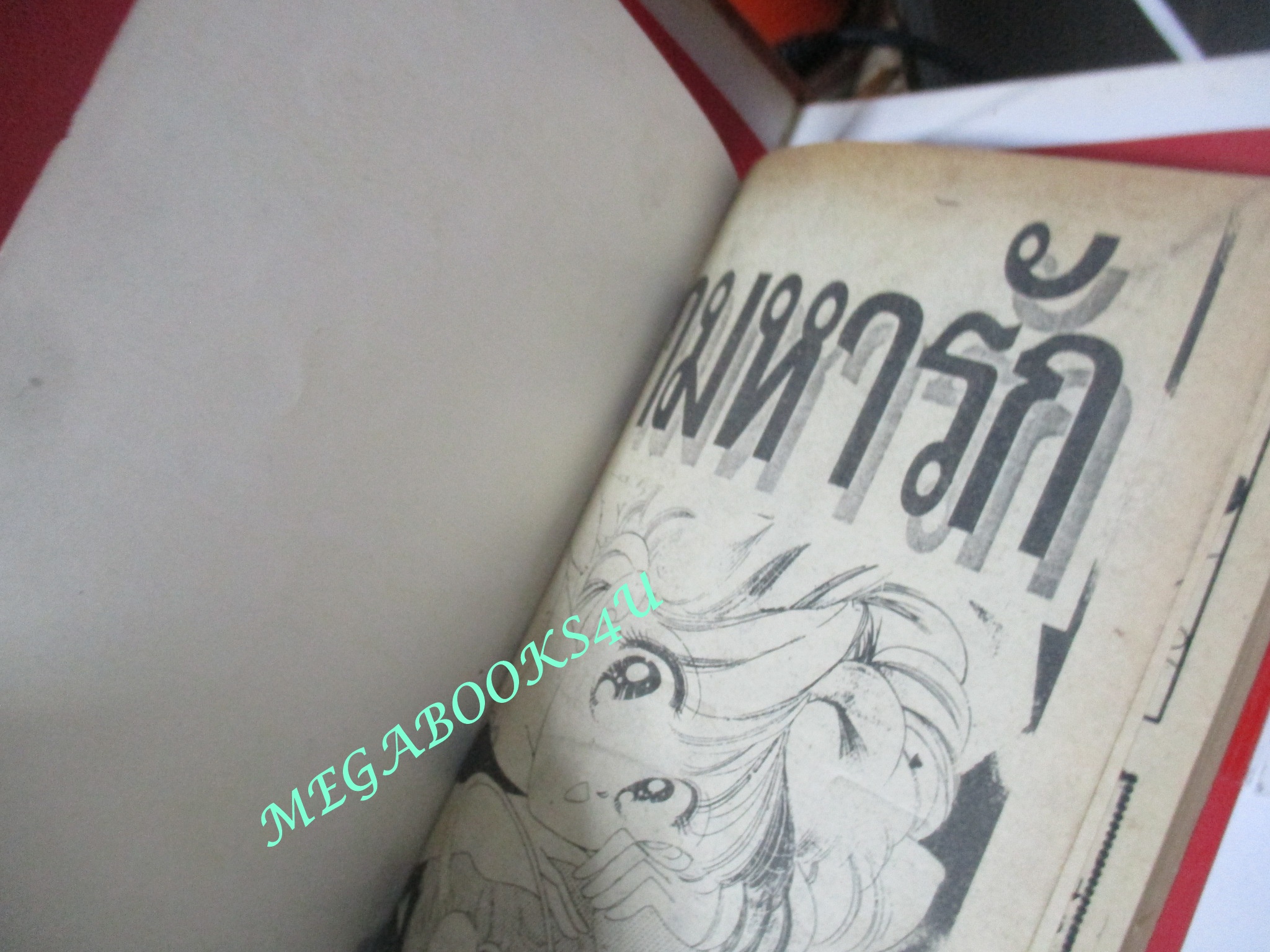 การ์ตูนบ้าน ตามหารักไม่ยักเจอ เล่มเดียวจบ หมึกจีน สภาพดี