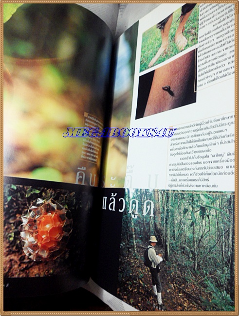 นิตยสารสารคดี ฉบับที่221 ปีที่19 ก.ค.2546,มอเตอร์ไซค์,ป่าสันทรายชายหาด,ทาก,จิตรกรรมฝาผนัง,